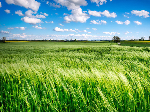 欢迎访问我们的官方网站