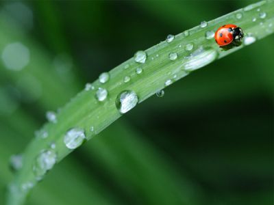 专业从事化工产品生产和化工材料销售工作